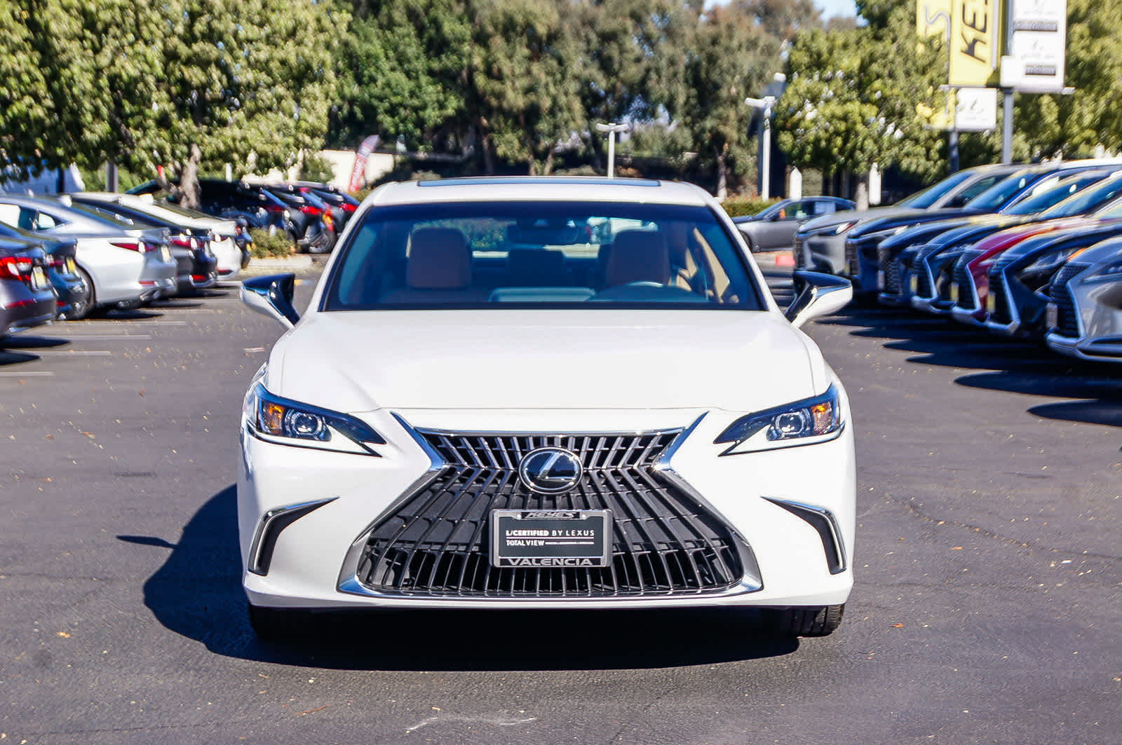 2024 Lexus ES 350 6