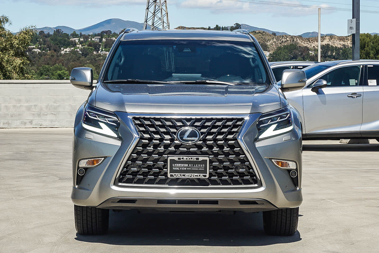 2022 LEXUS GX 460 photo 5