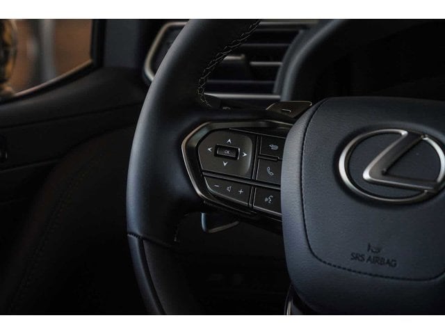 2026 Lexus LX 600 Luxury - Photo 15