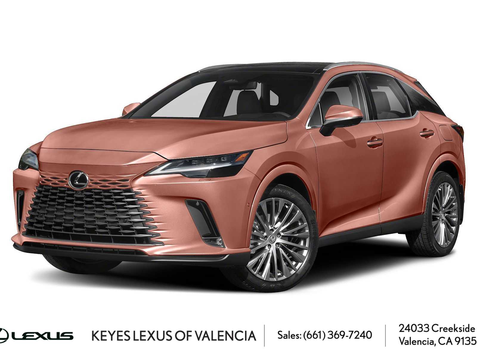 2023 Lexus RX 350's photo