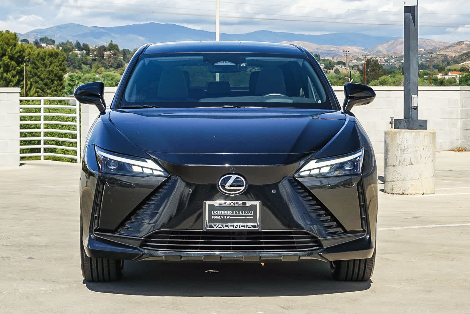 2023 LEXUS RZ 450e Luxury photo 6