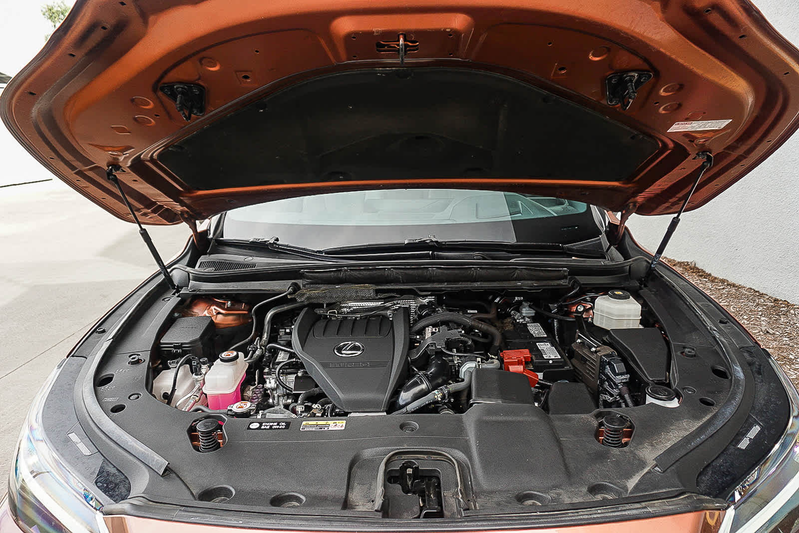 Thumbnail: 2024 Lexus RX - 27