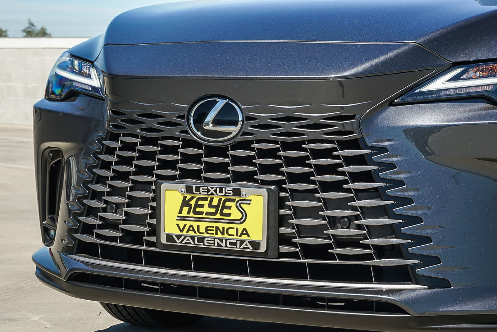 2025 LEXUS RX 350 Base photo 3