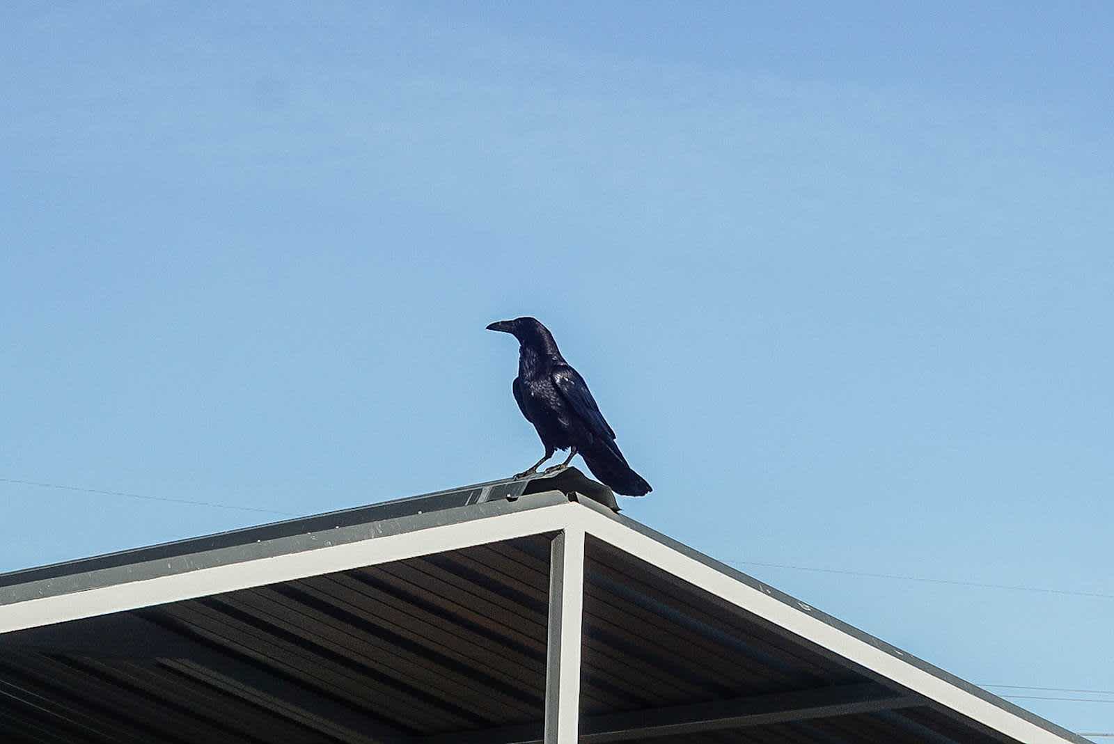 Thumbnail: 2020 Subaru Outback - 24