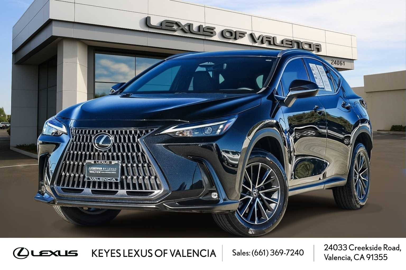 2024 Lexus NX 250's photo