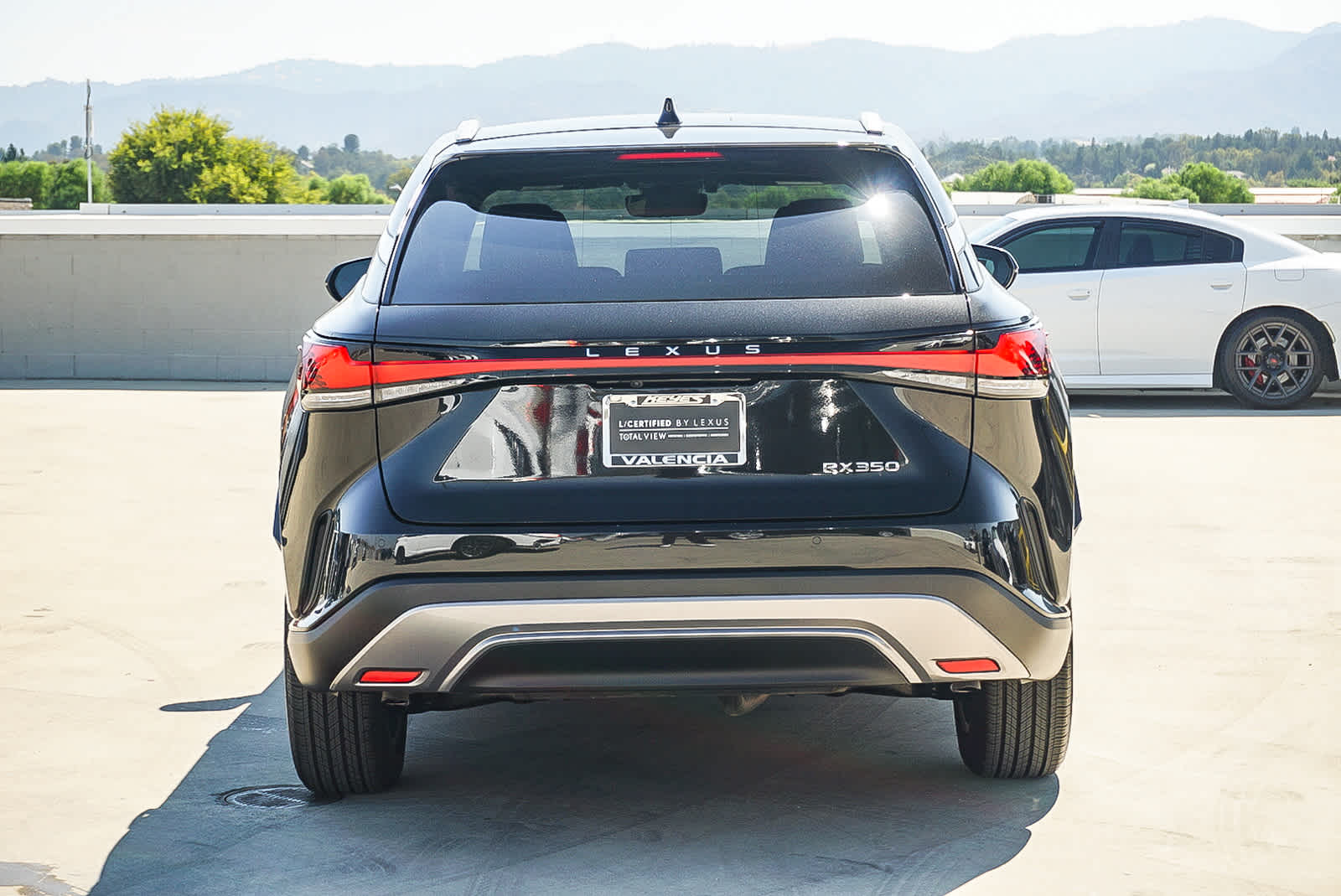 2024 Lexus RX 350 photo 3
