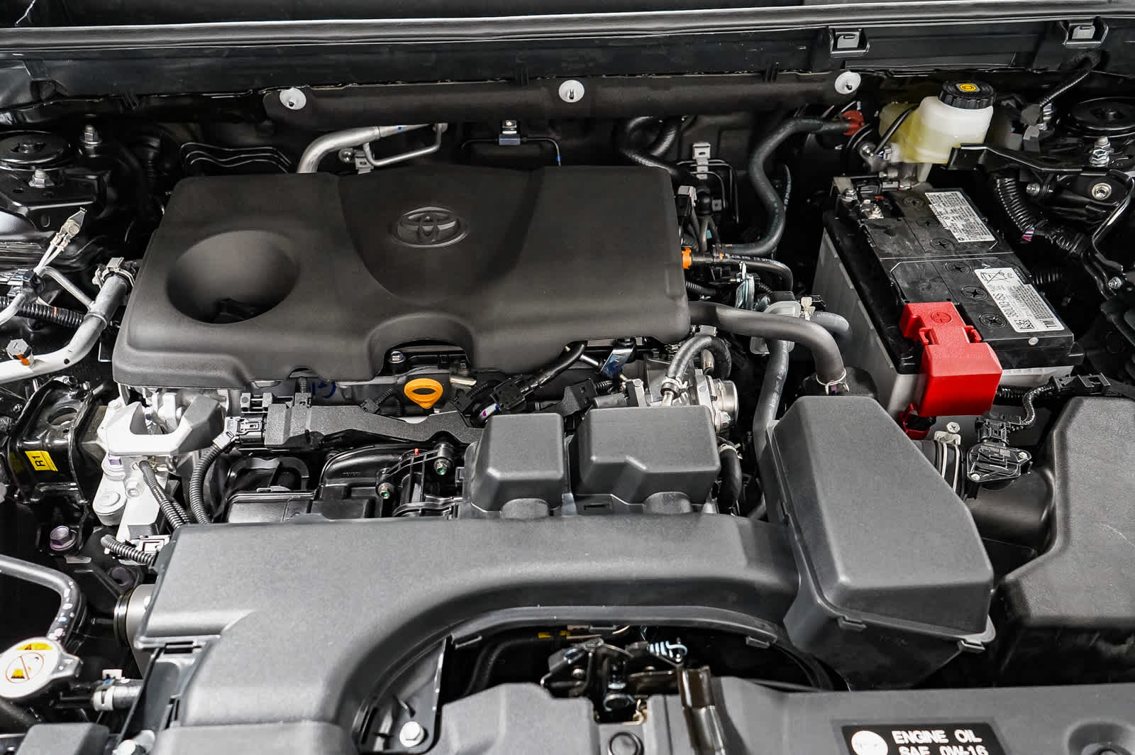 2025 Toyota RAV4 XLE 13