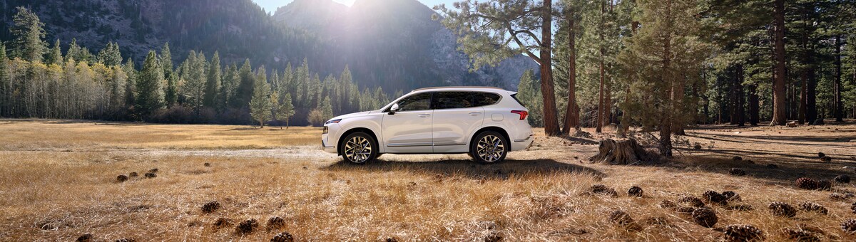 New Hyundai Santa Fe SUVs for Sale in Jacksonville FL