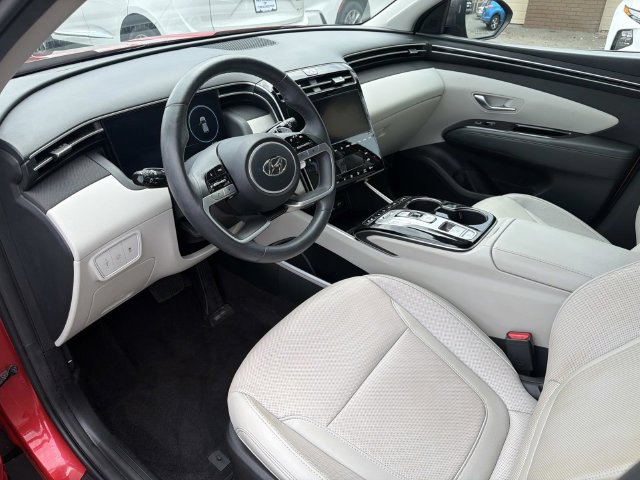Photo 14