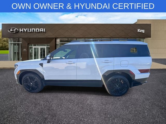 2025 Hyundai Santa Fe Calligraphy - Photo 9