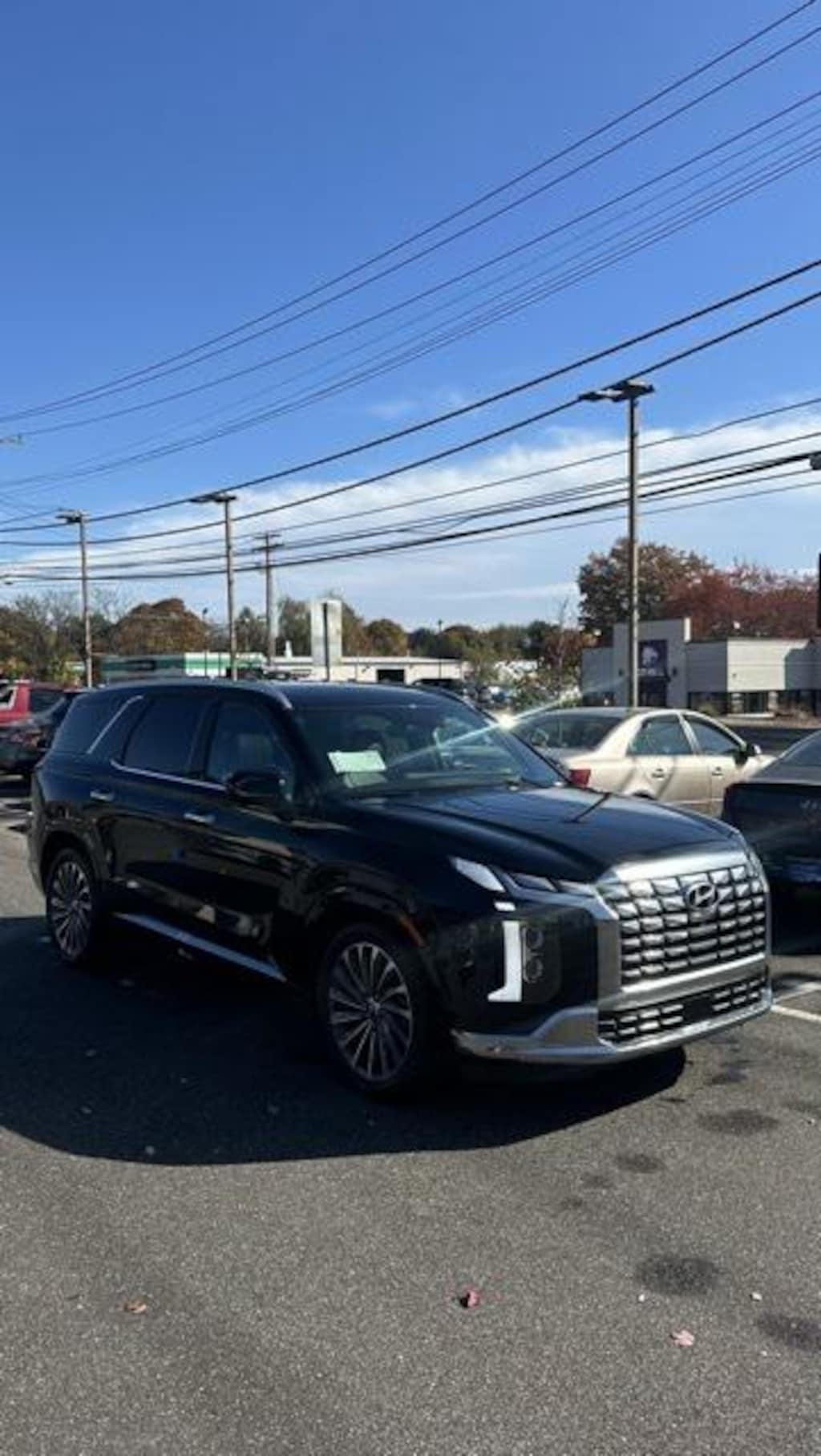New 2024 Hyundai Palisade Calligraphy SUV