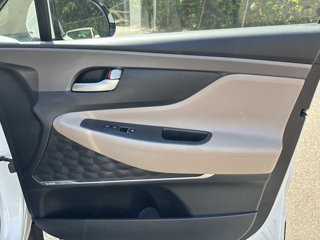 2019 Hyundai Santa Fe SEL Plus - Photo 25