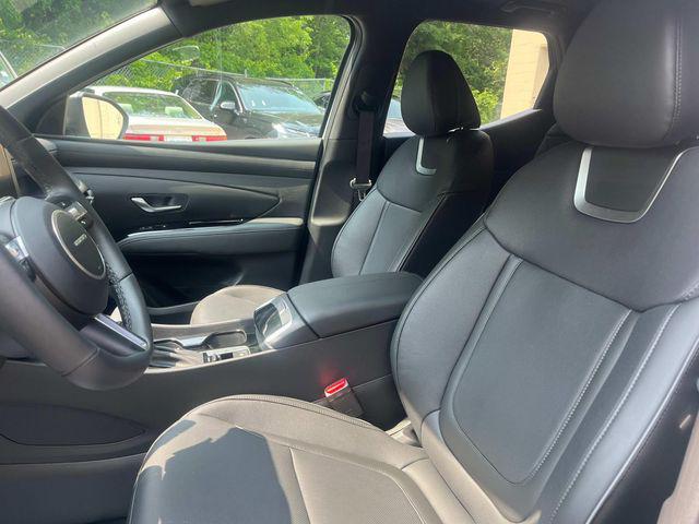 2025 Hyundai Santa Cruz Limited - Photo 6