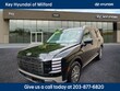  Hyundai Palisade Hybrid