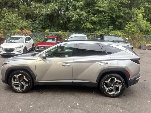 2024 Hyundai Tucson Limited - Photo 11