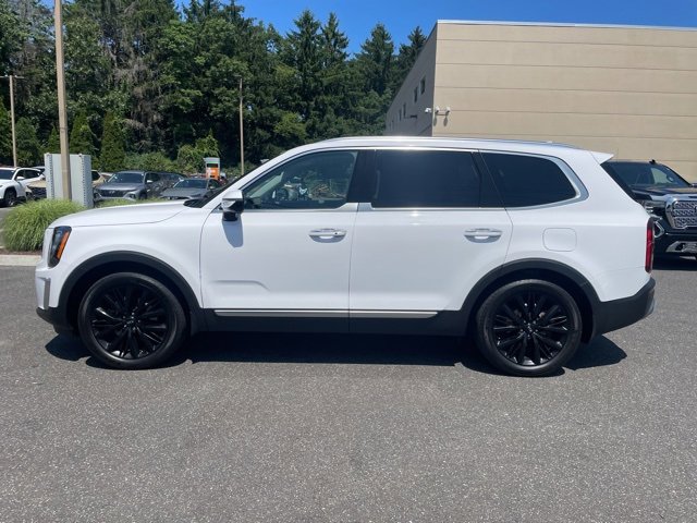 Used 2021 Kia Telluride SX with VIN 5XYP5DHC5MG176242 for sale in Milford, CT