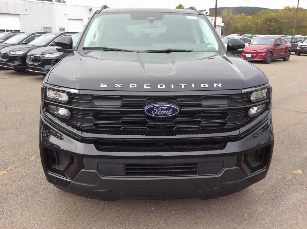 2025 Ford Expedition photo 3