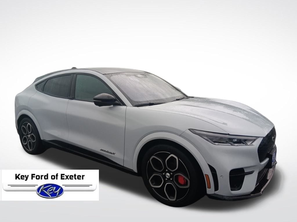 2023 Ford Mustang-Mach-e GT's photo