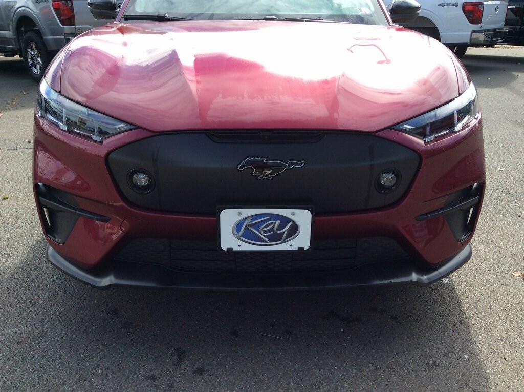 2025 Ford Mustang Mach-E GT photo 2