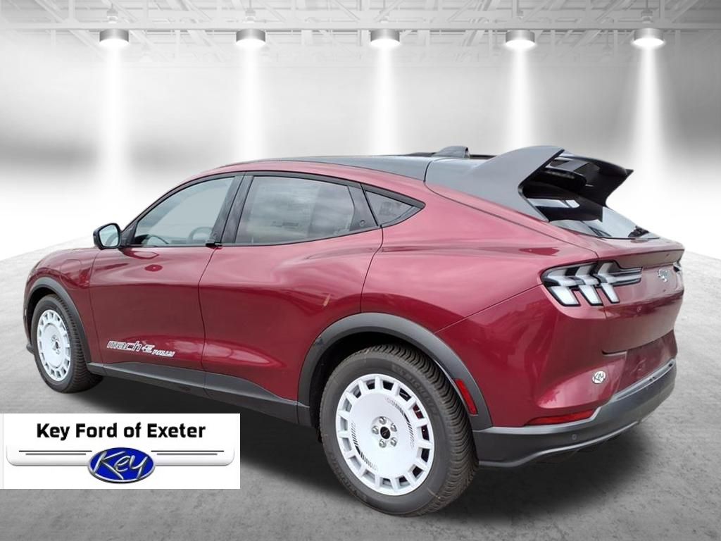 2025 Ford Mustang Mach-E GT - Photo 6