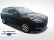 Used 2025 Ford Escape Active SUV