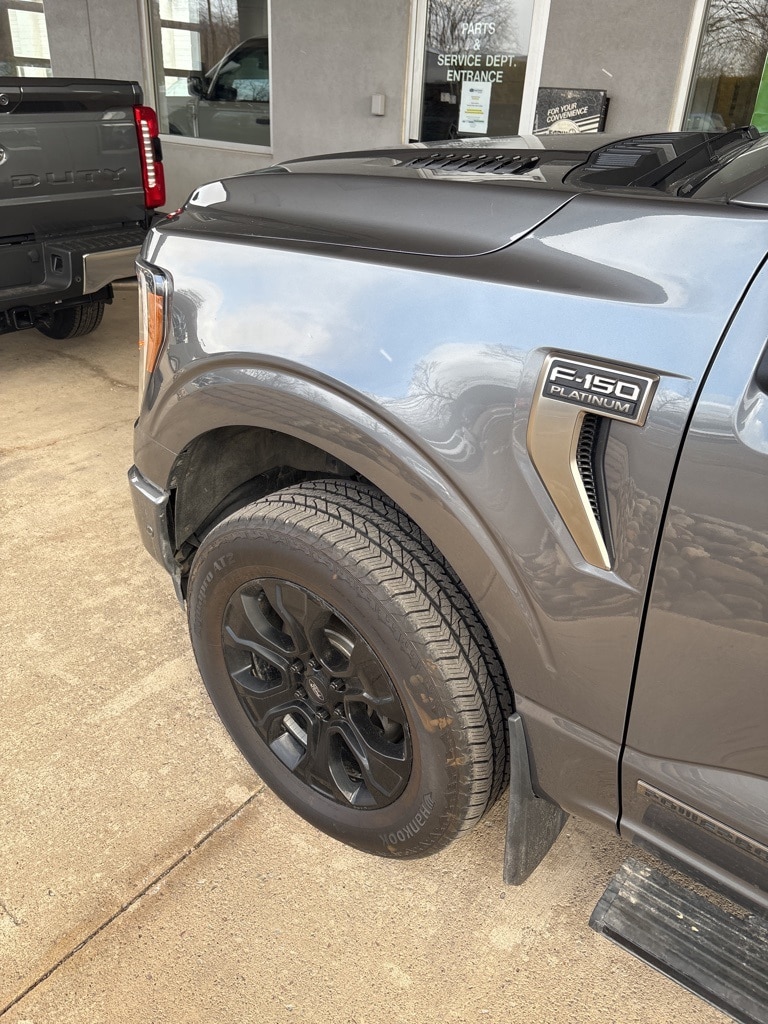 2022 Ford F-150 Platinum