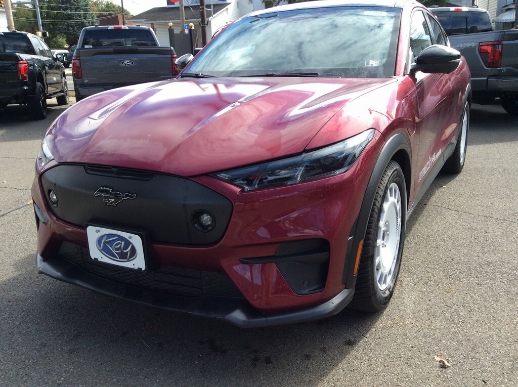 2025 Ford Mustang Mach-E GT photo 3