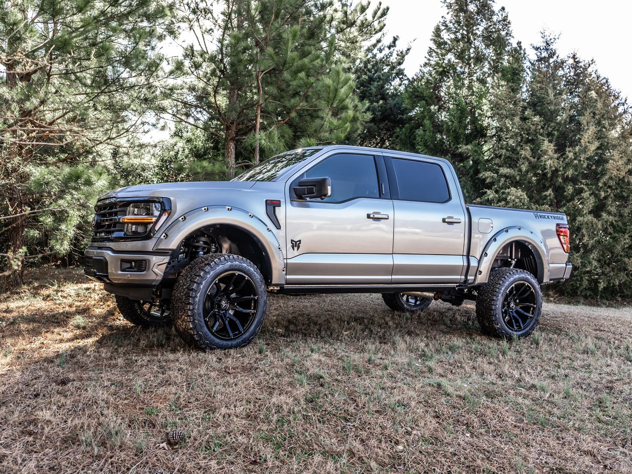2025 Ford F-150 STX photo 2
