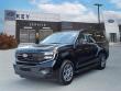 Used 2025 Ford Expedition Active SUV