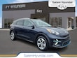  Kia Niro EV