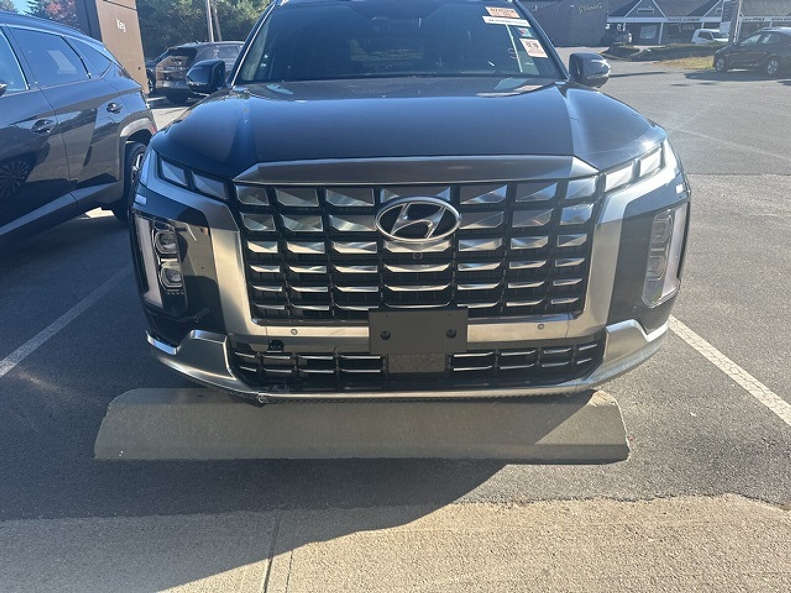 2024 Hyundai Palisade Calligraphy photo 3