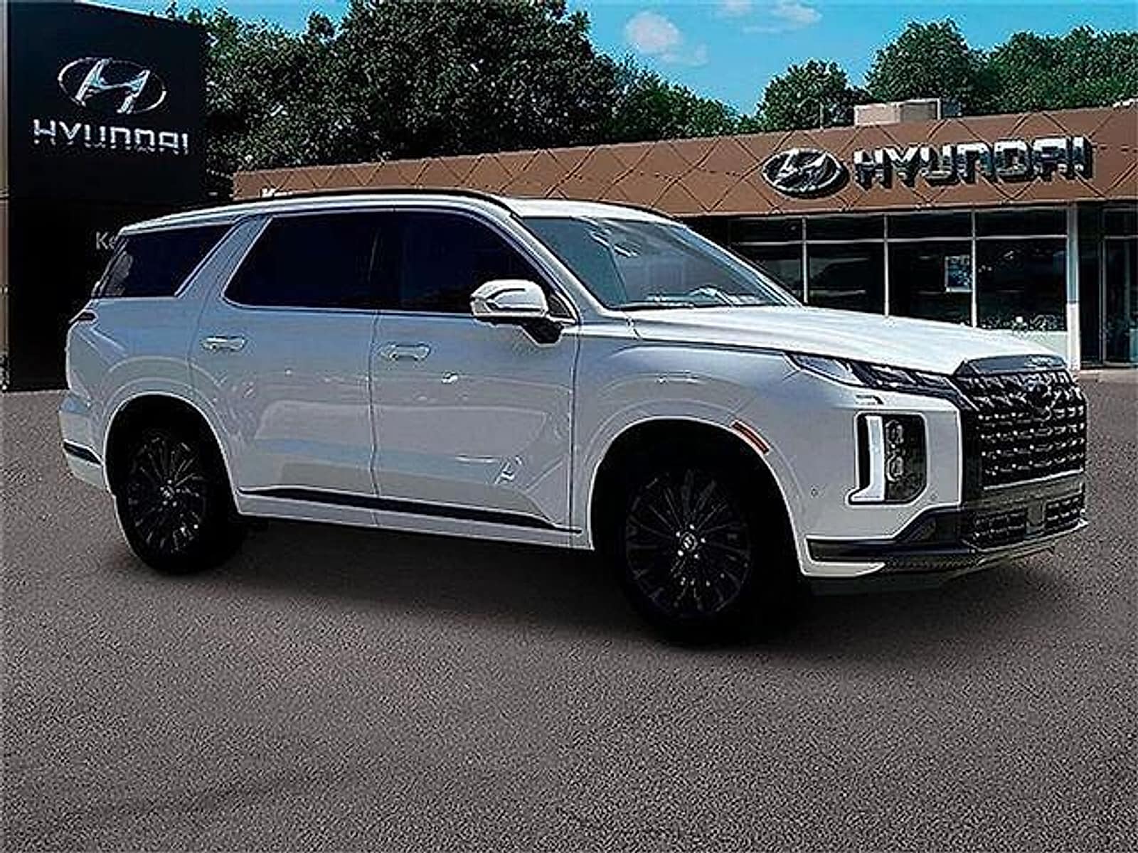 2025 Hyundai Palisade Calligraphy Night Edition - Photo 14