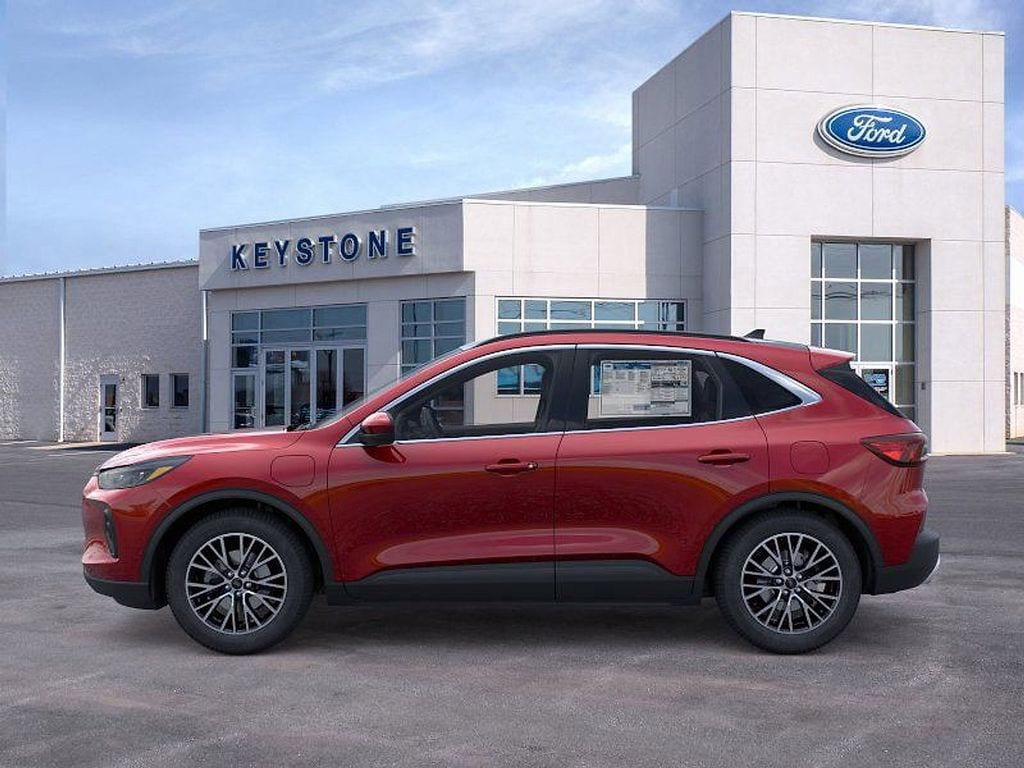 View 4