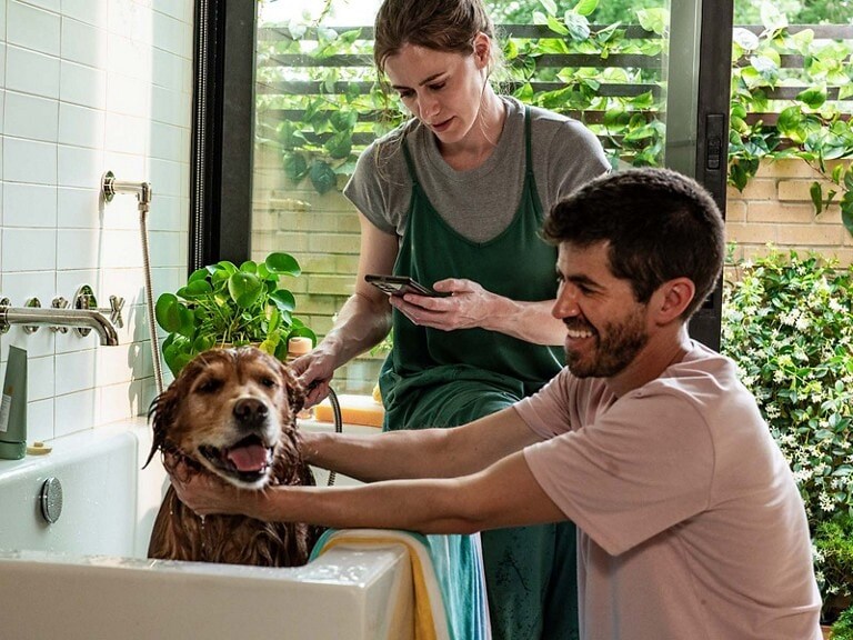 Two adults are giving a dog a bath in a bathtub while one of them checks their phone