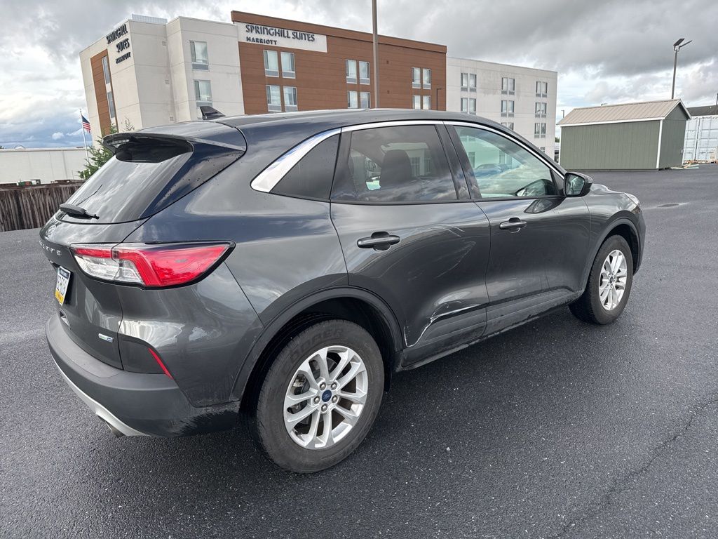 2020 Ford Escape SE photo 3