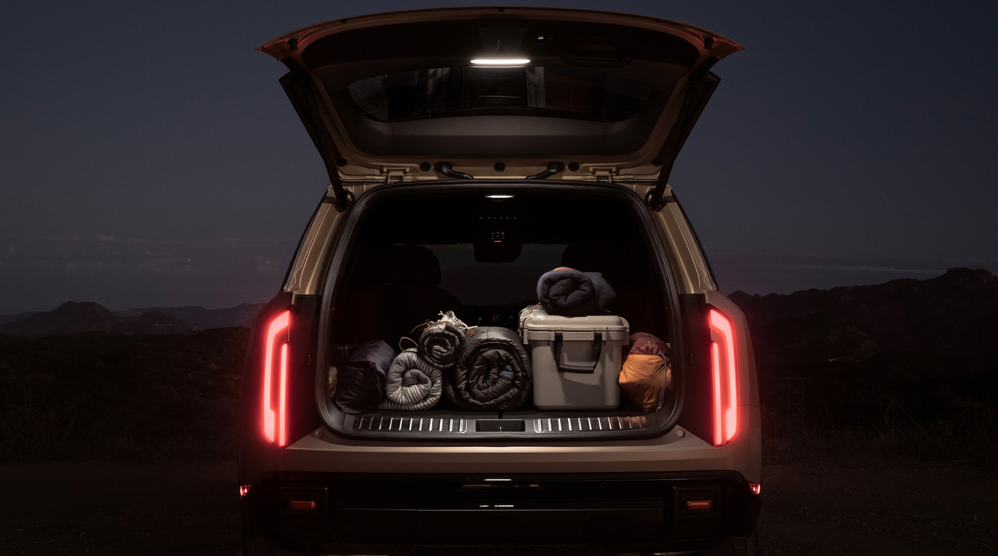 Liftgate lamp and stainless steel cargo scuff plates shown on X-Pro SX Prestige.<sup>2</sup>