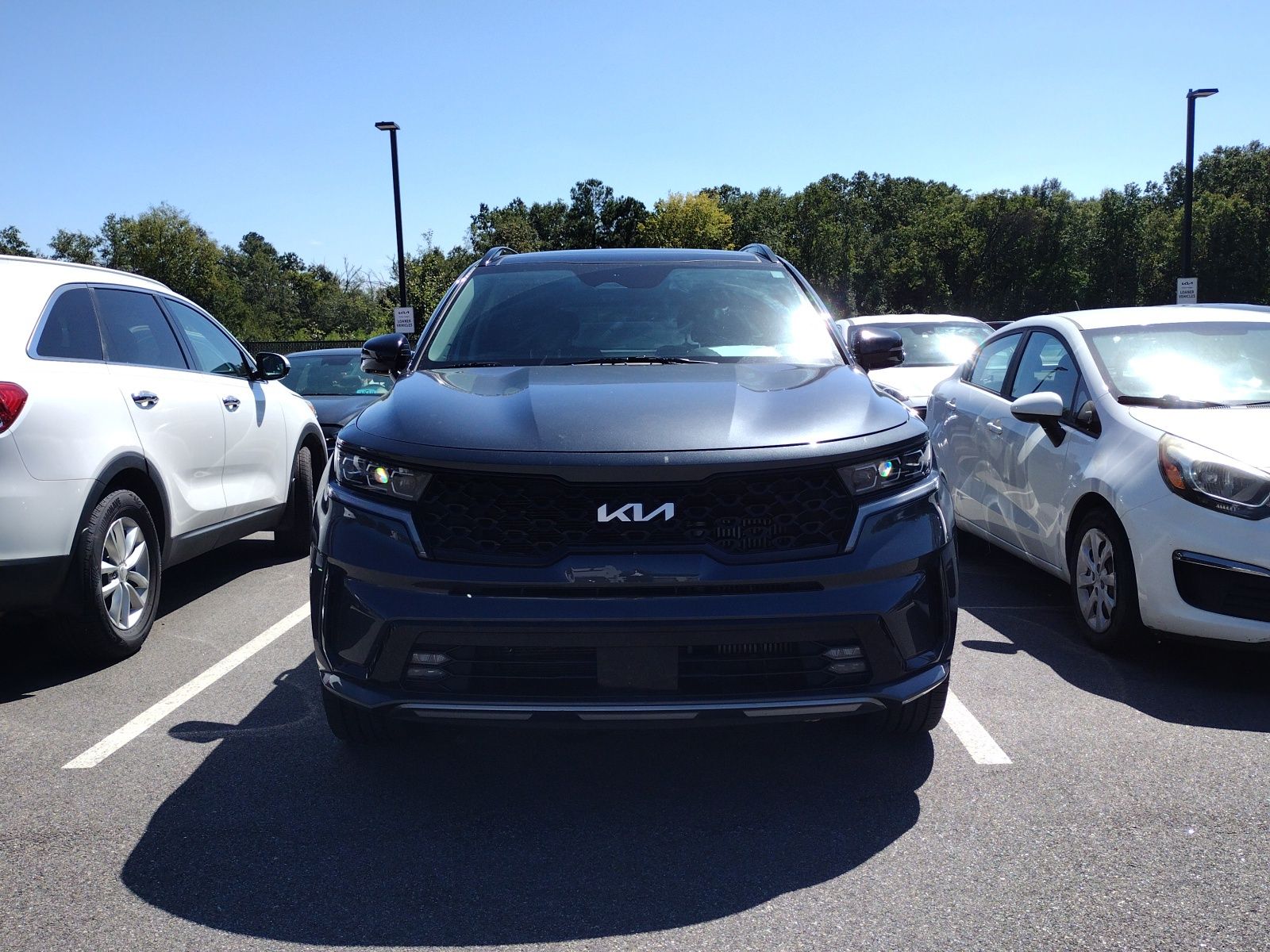 2023 Kia Sorento SX Prestige photo 2