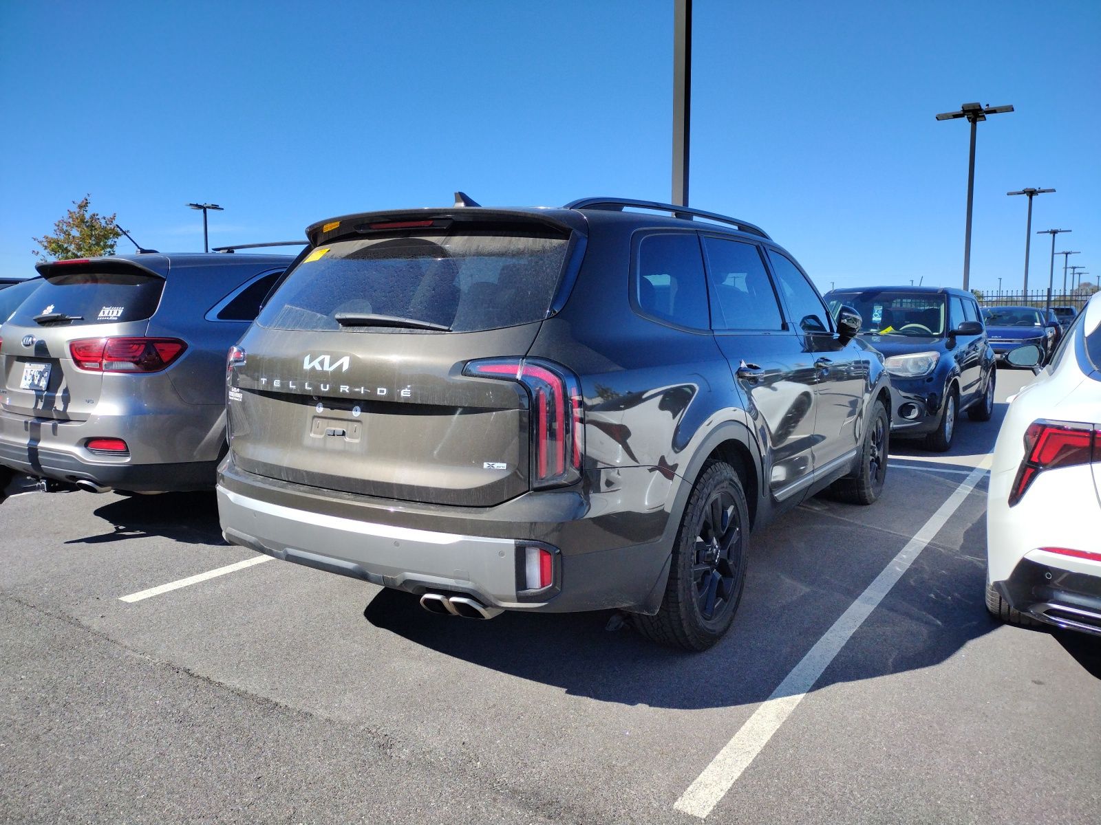 2023 Kia Telluride X-Pro photo 2