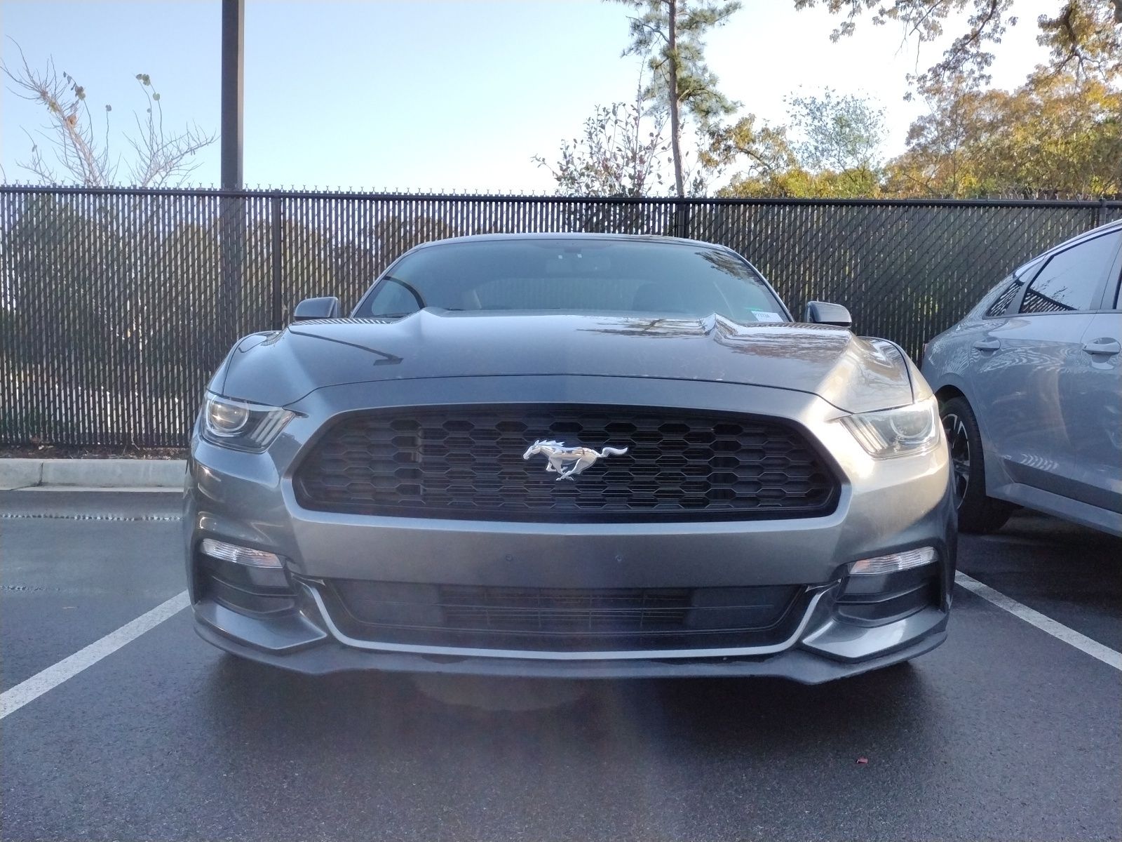 2017 Ford Mustang V6 photo 2