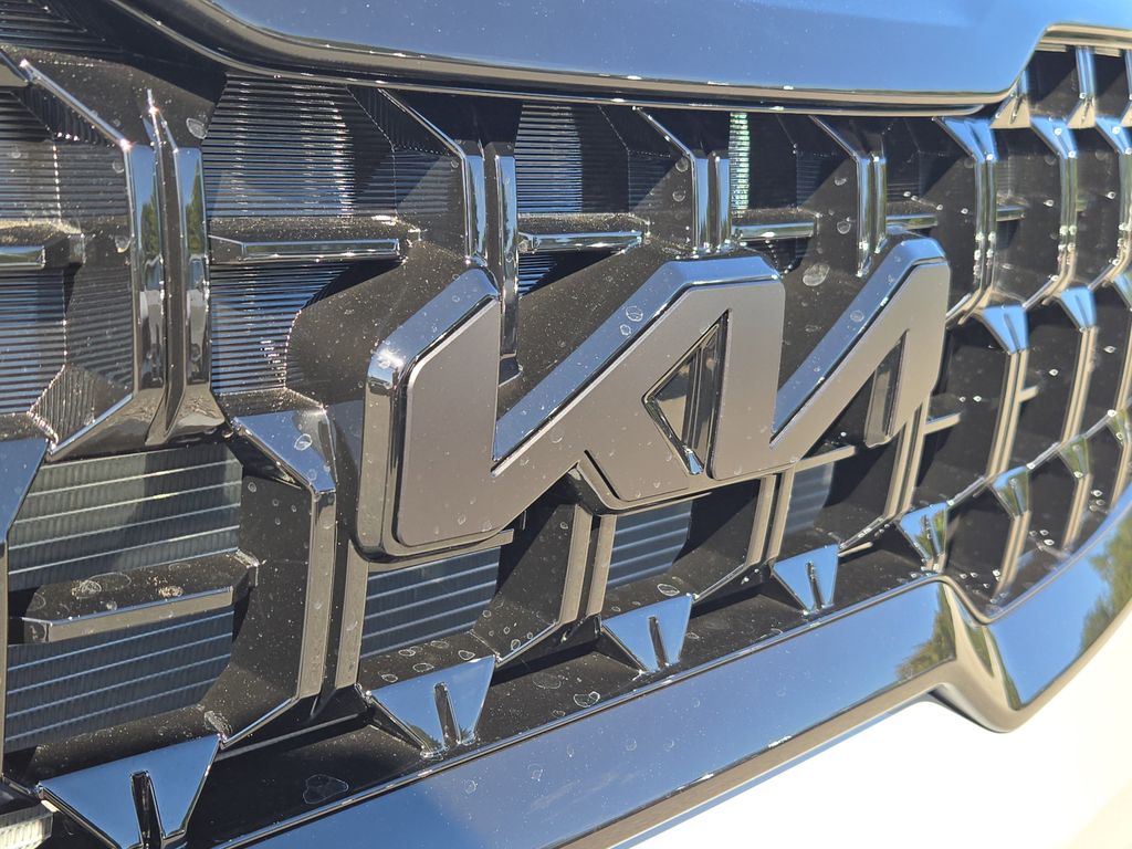 2025 Kia Telluride EX X-Line photo 4