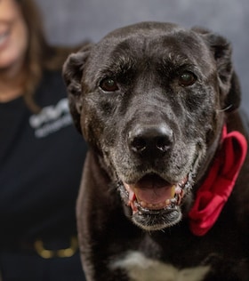 Staff member Conner Lee from 9b55948e17ca