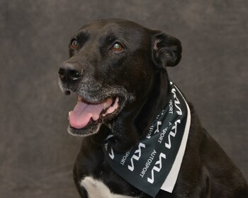 Staff member Conner from 9b55948e17ca