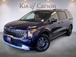  Kia Carnival Hybrid