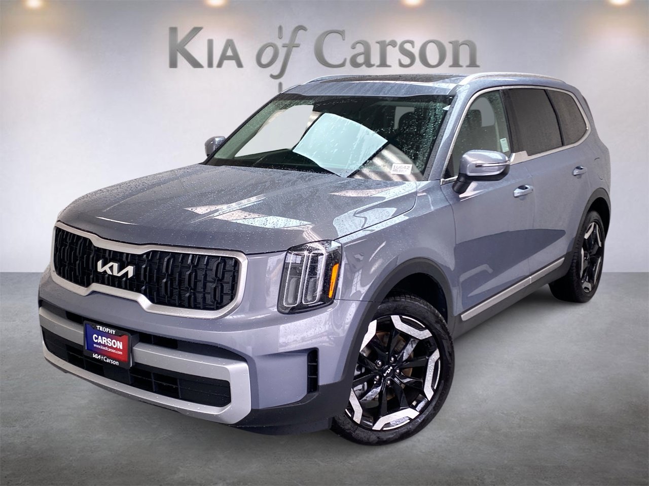 2025 Kia Telluride EX's photo