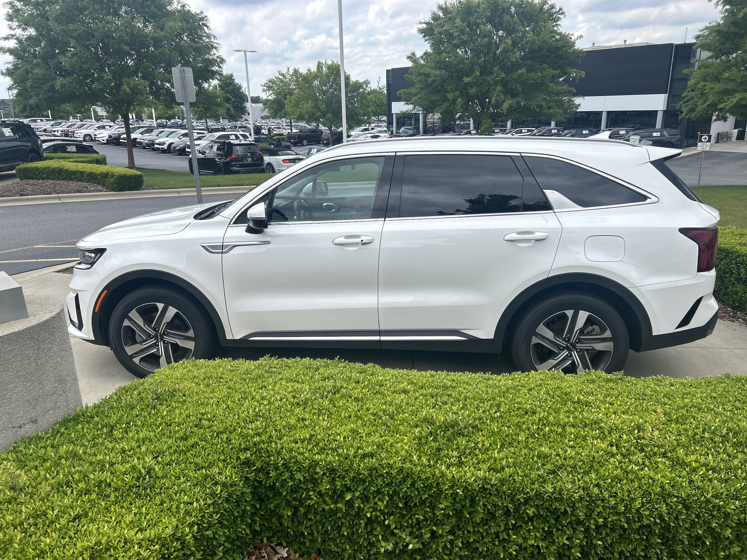 2023 Kia Sorento Hybrid SX Prestige photo 6