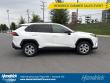 2019 Toyota RAV4 LE SUV