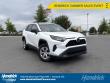 2019 Toyota RAV4 LE SUV