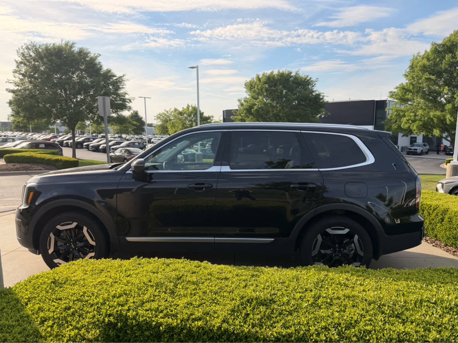 2024 Kia Telluride EX photo 6