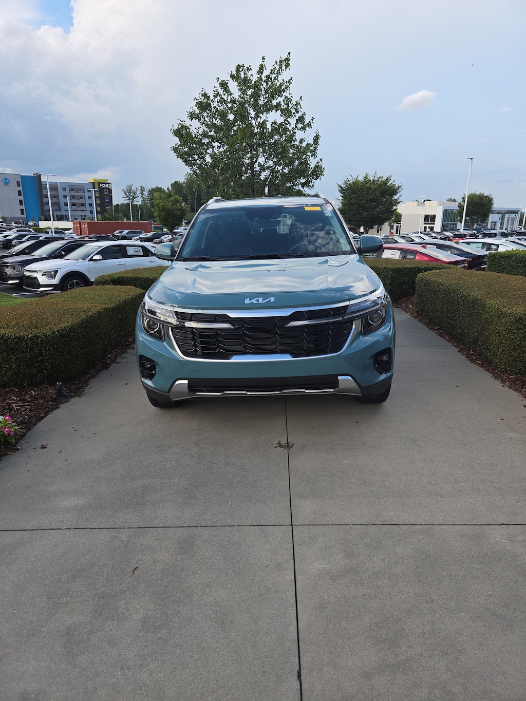 Certified 2024 Kia Seltos EX SUV