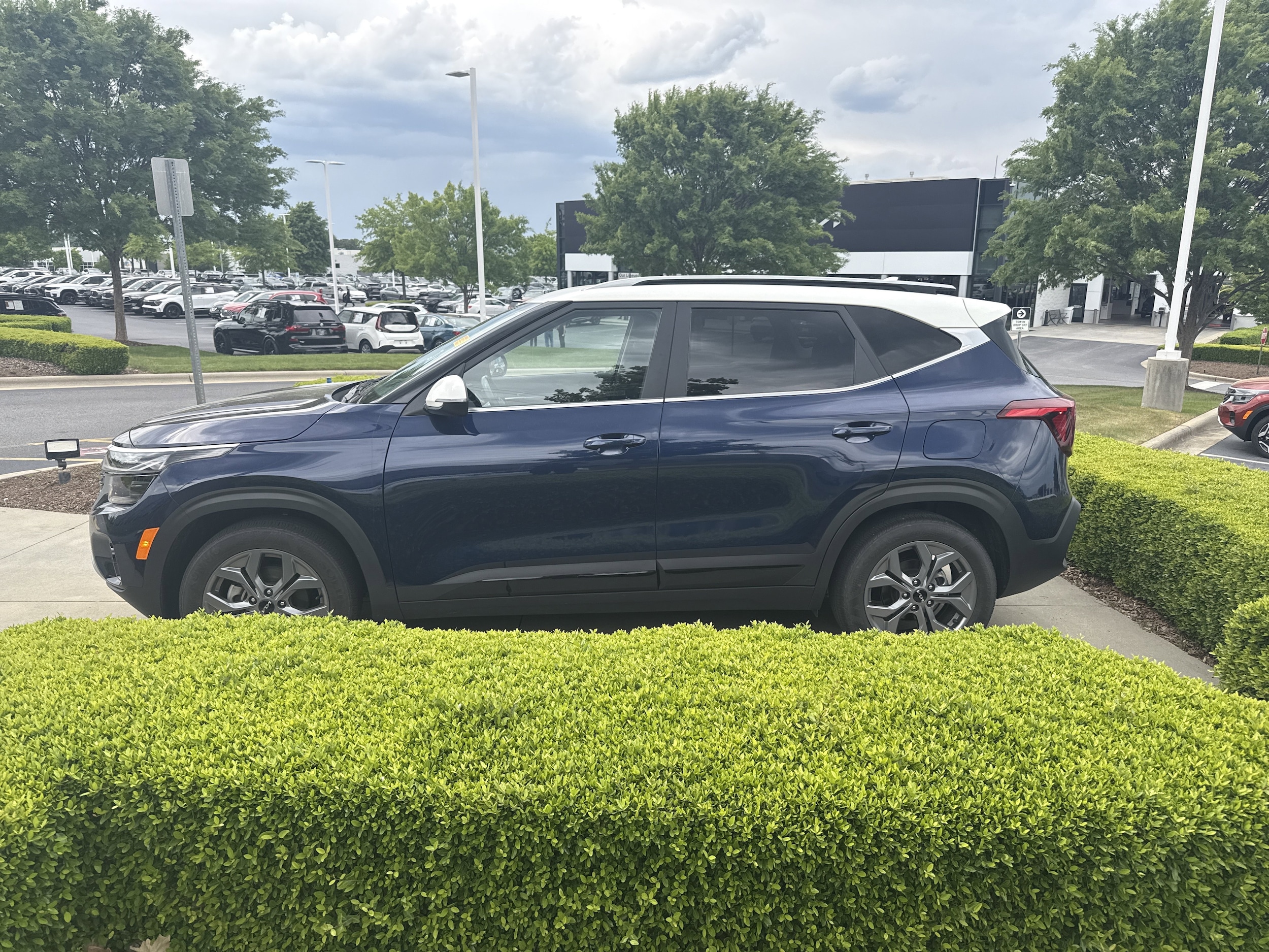 2024 Kia Seltos S photo 6